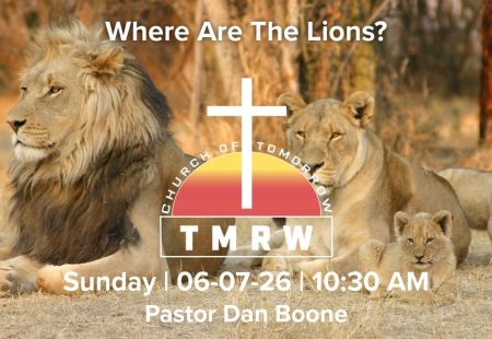 Where Are The Lions?