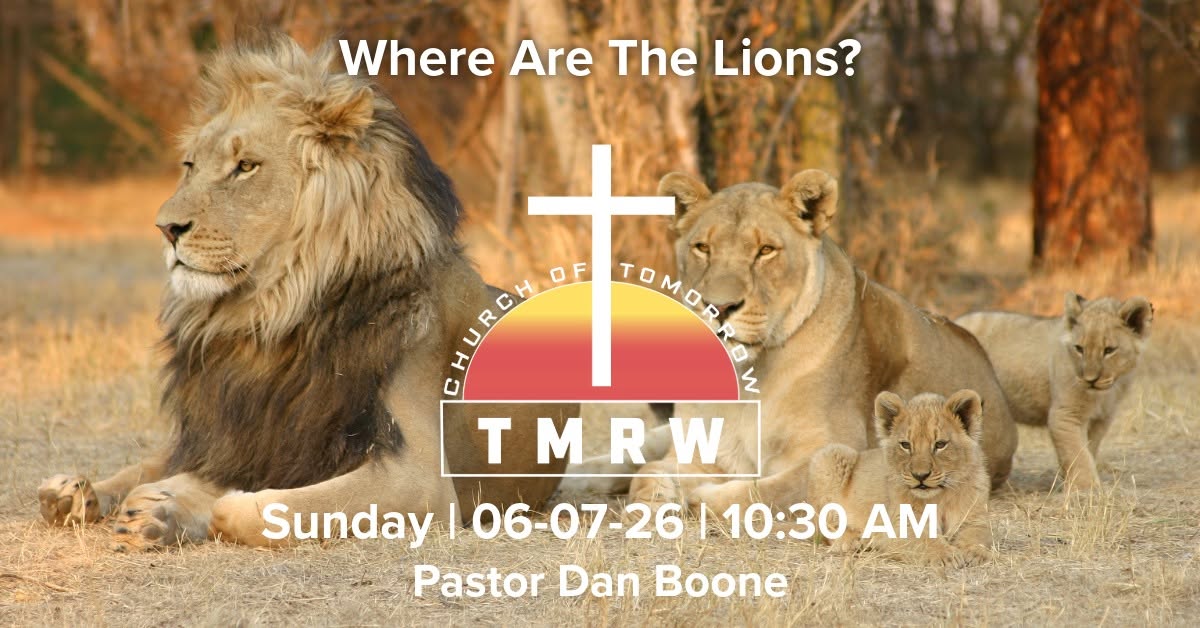 Where Are The Lions?