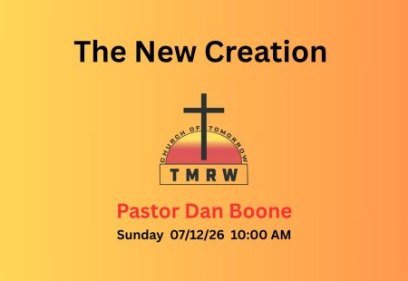 The New Creation