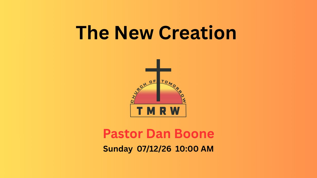 The New Creation